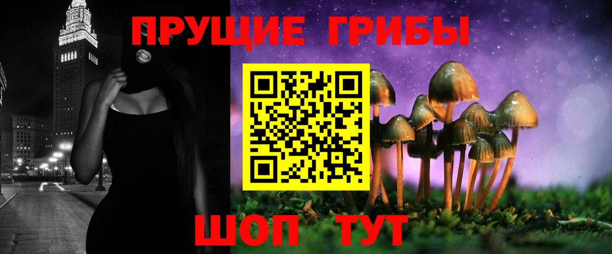 Людиново  Галлюциногенные грибы мицелий  Вход с VPN 